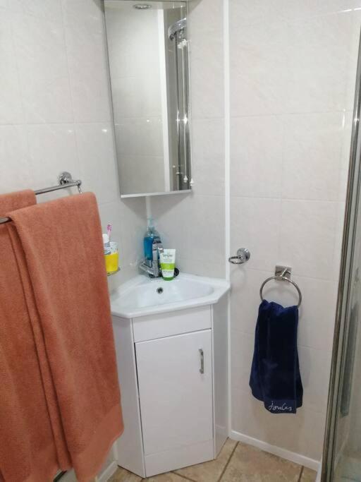 2 Bed Villa With Full Use Of Site Facilities New Quay Buitenkant foto